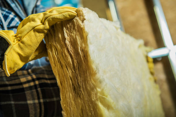 Best Insulation Maintenance and Repair in Madison, NJ